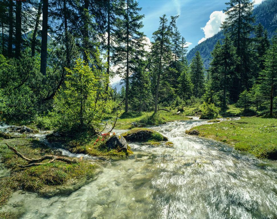 Hotel Lärchenhof Natur Seefeld in Tirol Exterior foto