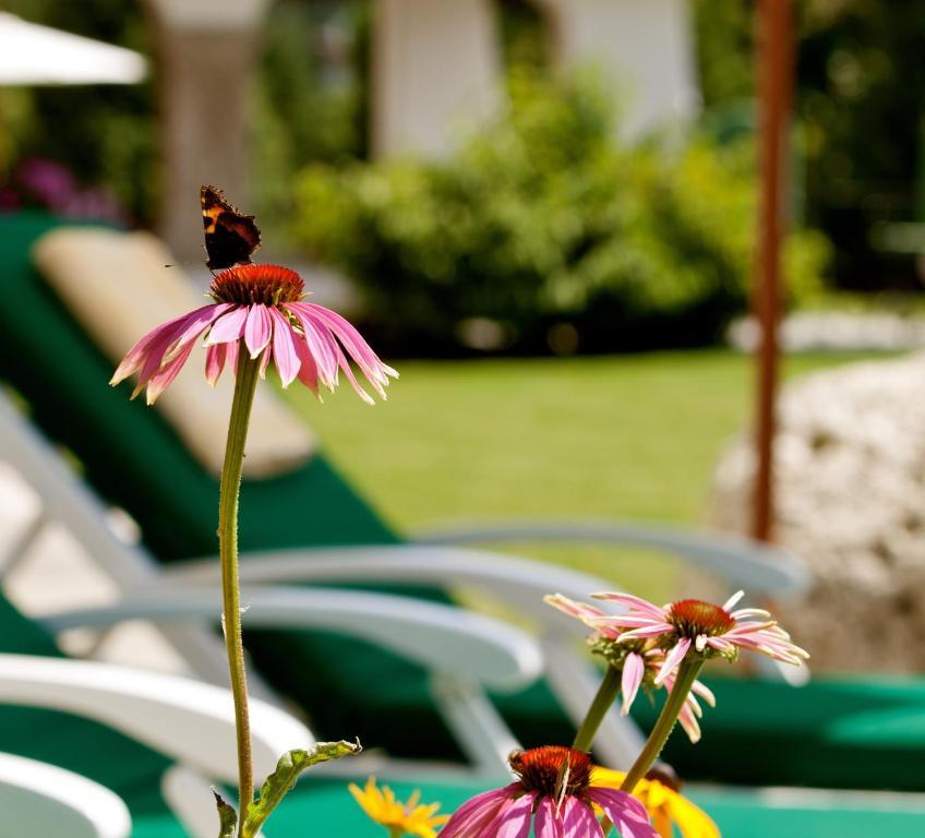 Hotel Lärchenhof Natur Seefeld in Tirol Zimmer foto